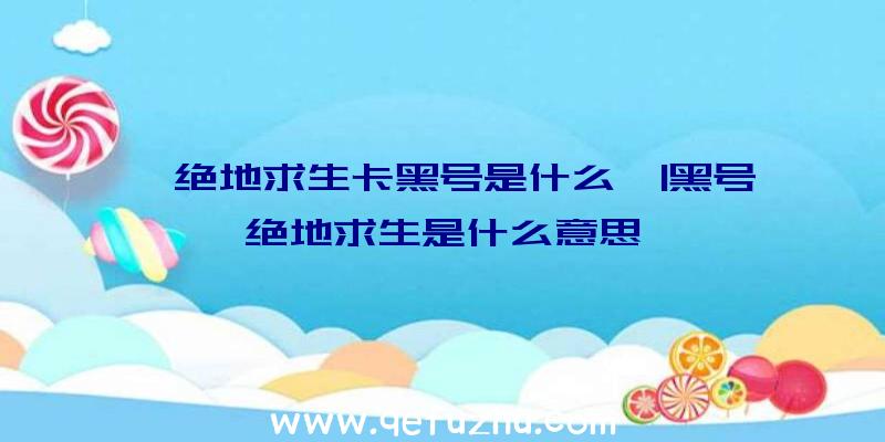 「绝地求生卡黑号是什么」|黑号绝地求生是什么意思